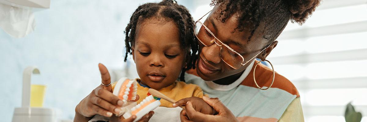 Parent and child brushing fake teeth.
