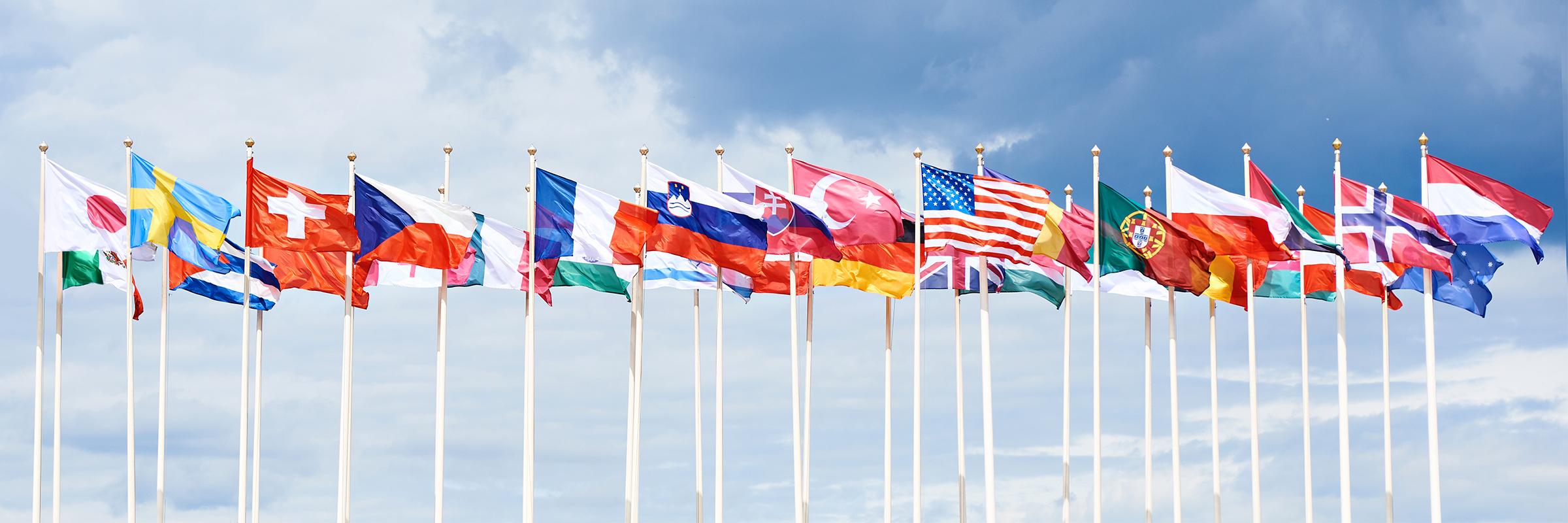 A line of international flags on poles in front of a blue sky.